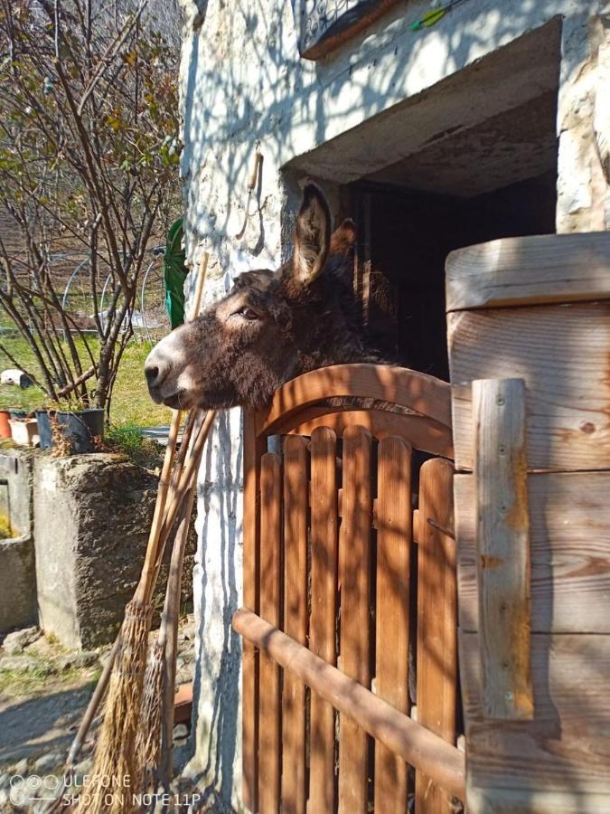 Agriturismo Cascina Gervasoni San Giovanni Bianco Extérieur photo